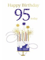 Happy Birthday 95 Today (blue)