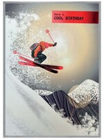 Have A Cool Birthday - Skier