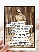 Raven's Rest I Came, I Saw, I Forgot What I Was Doing