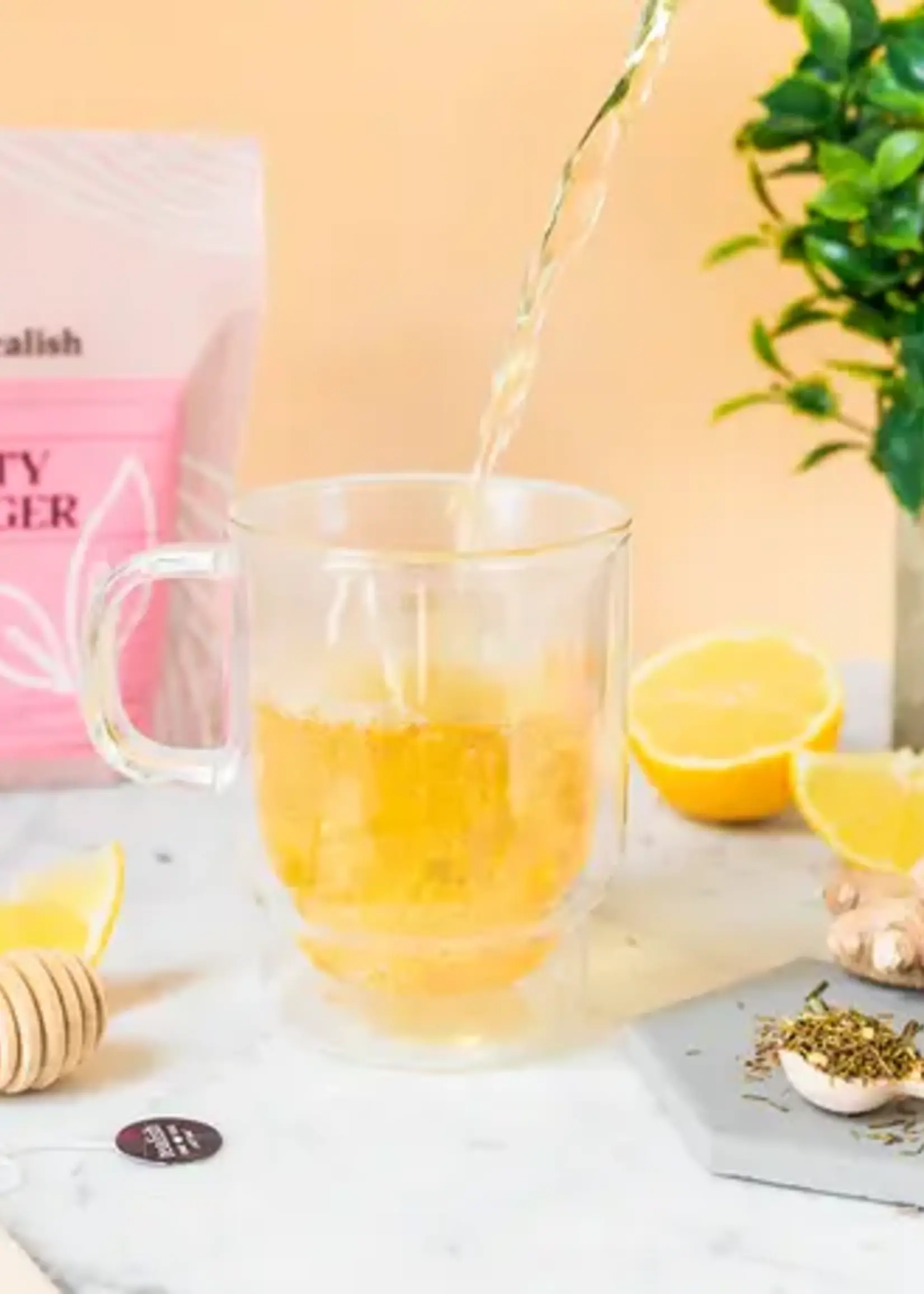 Tealish Zesty Ginger Rooibos Tea