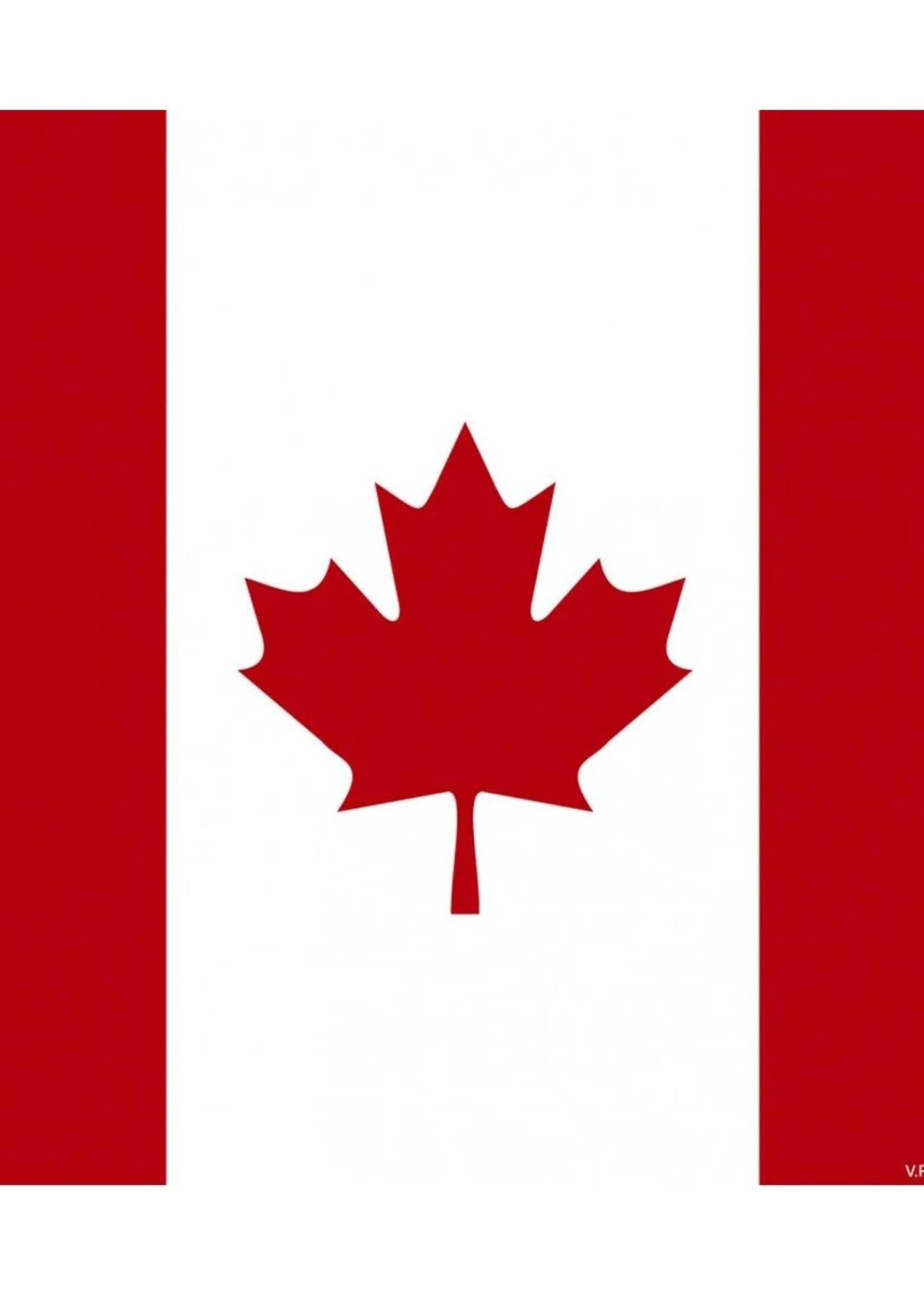 Paviot Napkins Canada Flag ~ Paviot Cocktail Napkin