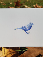 Matthew Doddridge Bird