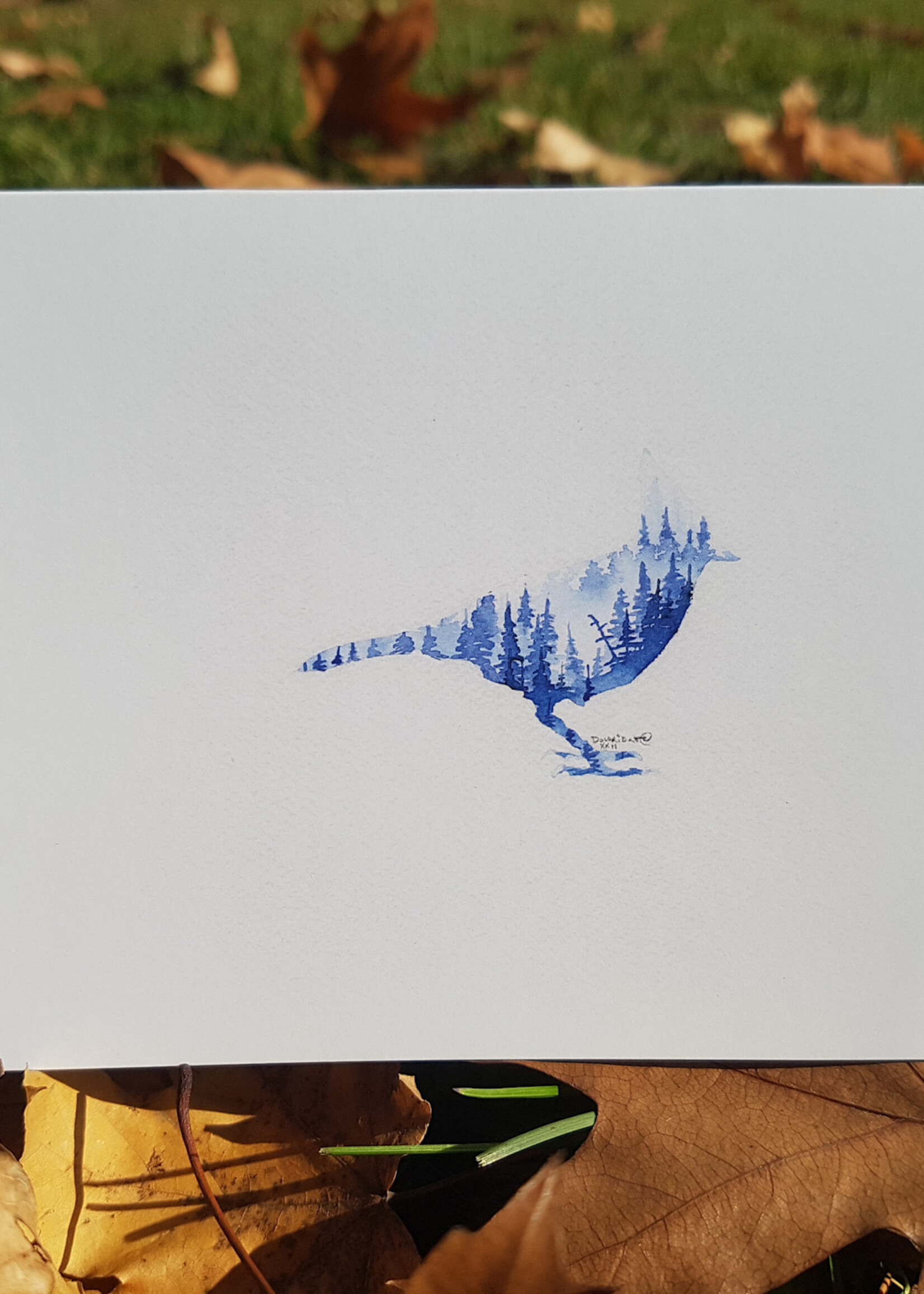 Matthew Doddridge Bird
