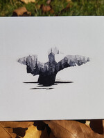 Matthew Doddridge Loon