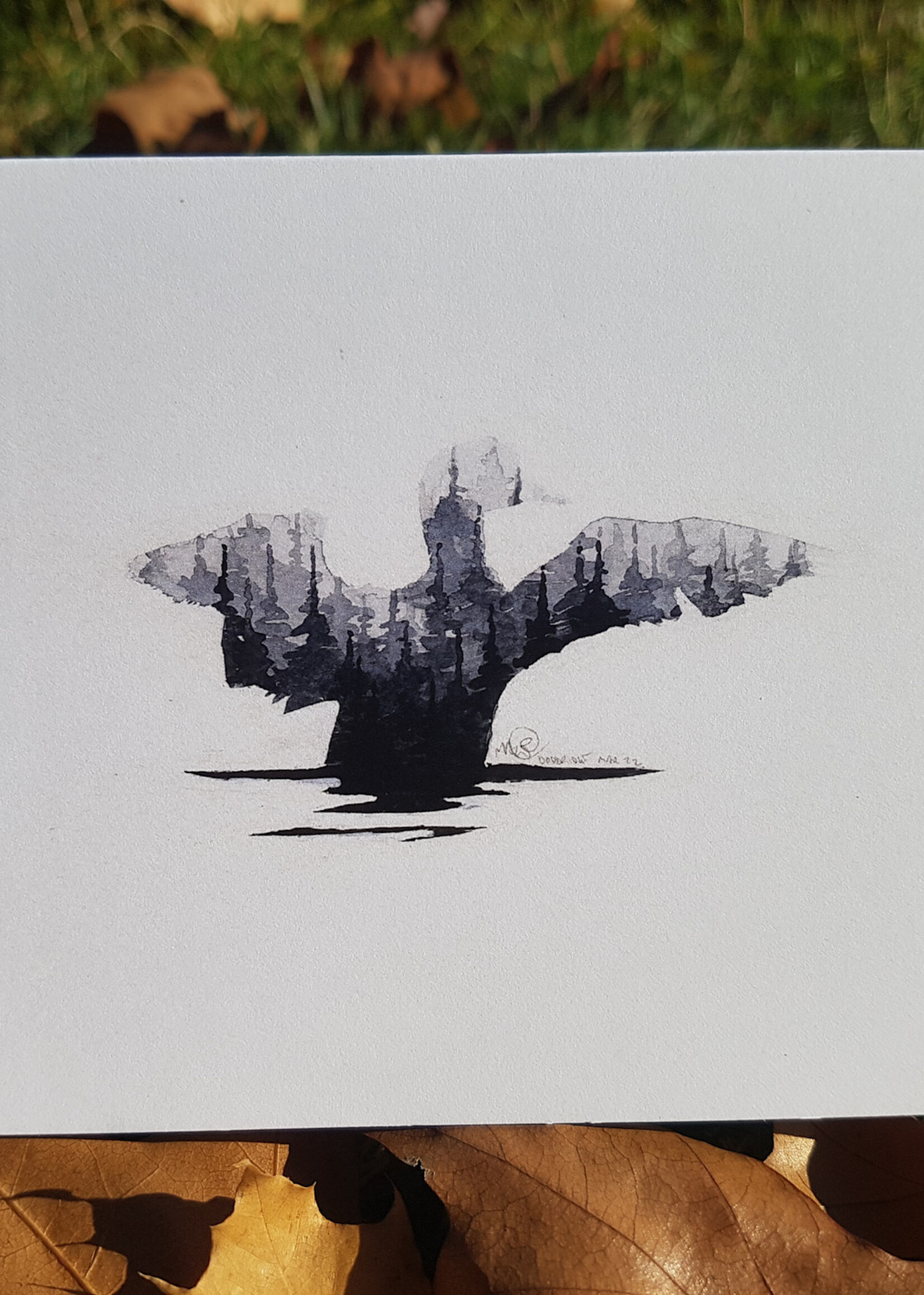 Matthew Doddridge Loon
