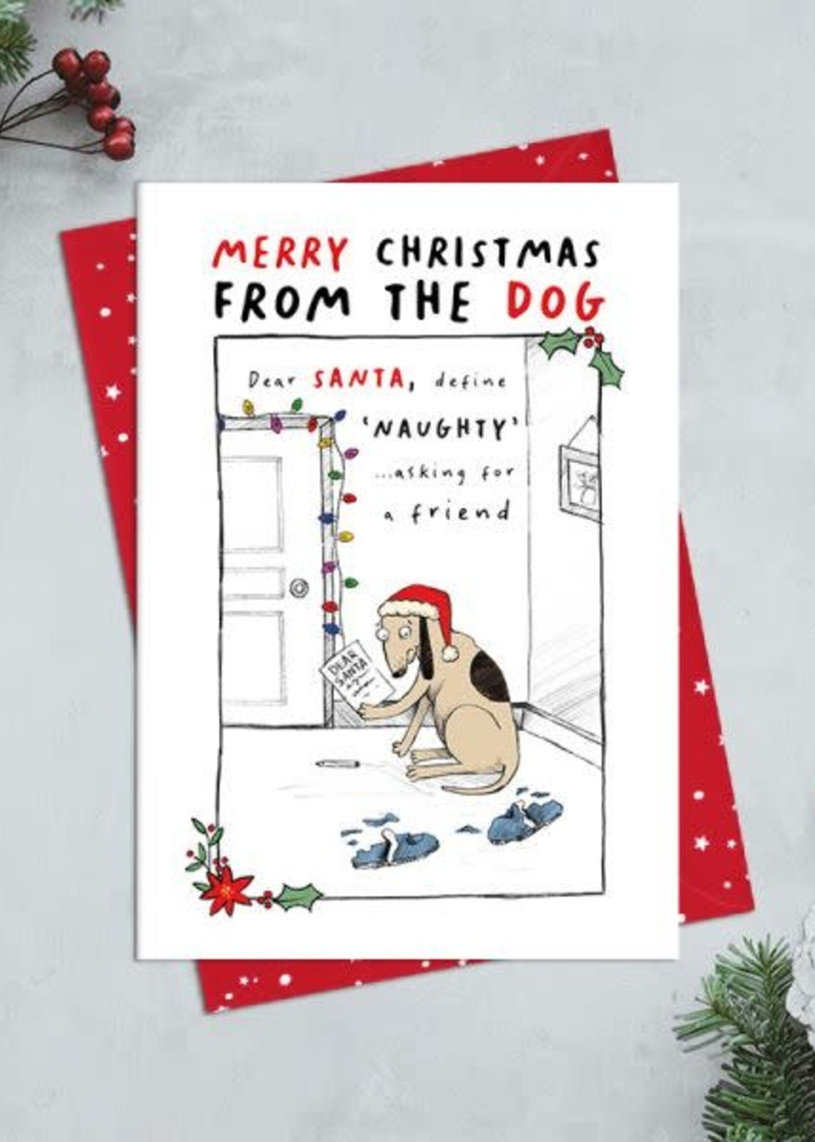 Merry Xmas from the Dog