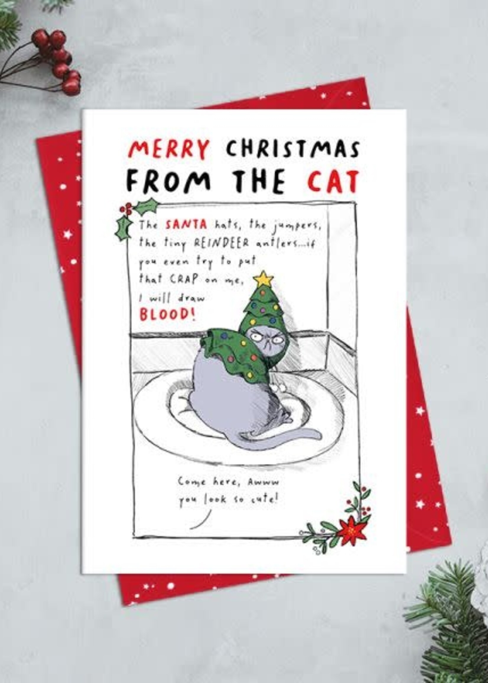 Merry Xmas from the cat