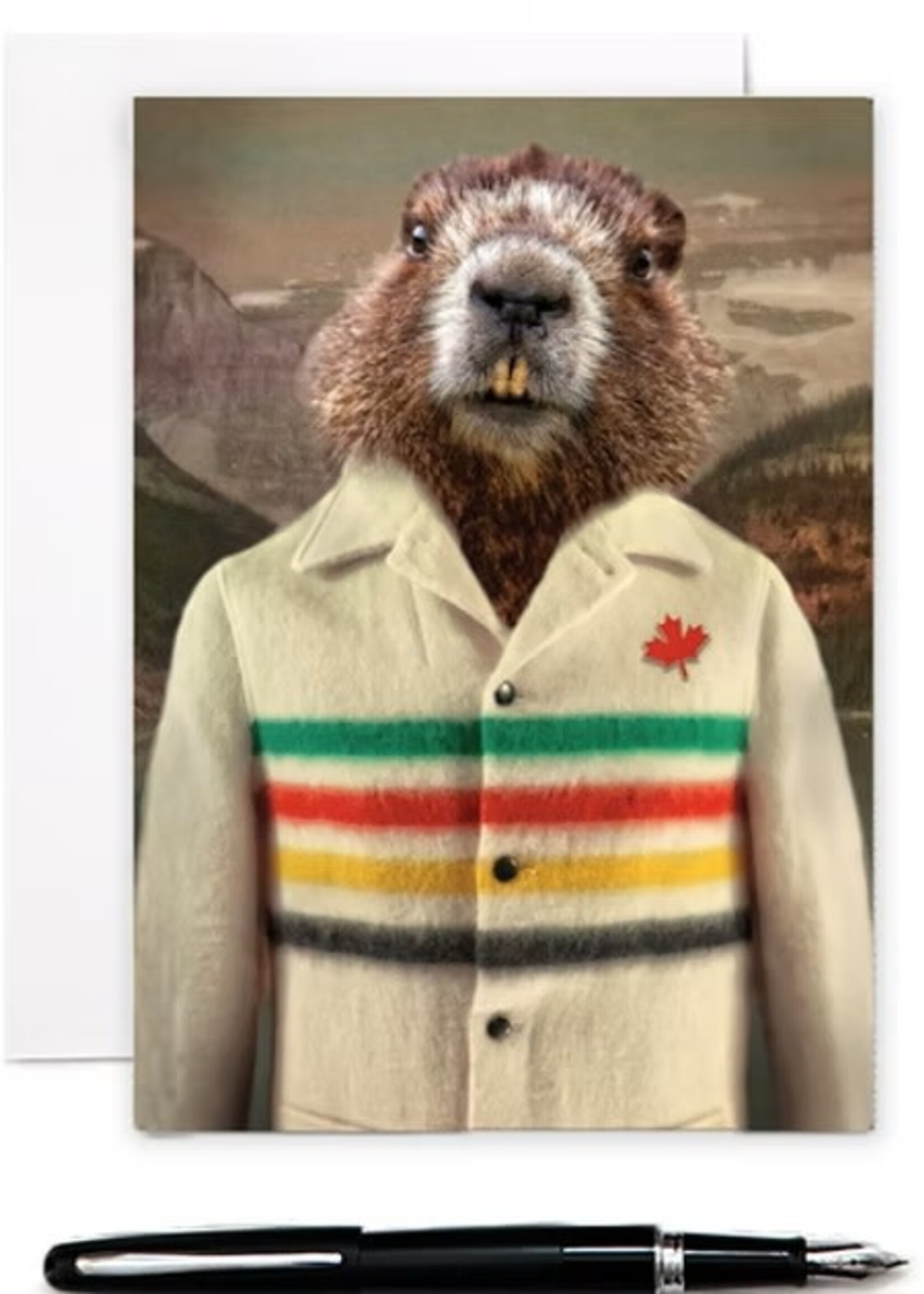 The Lonely Pixel Groundhog Bay