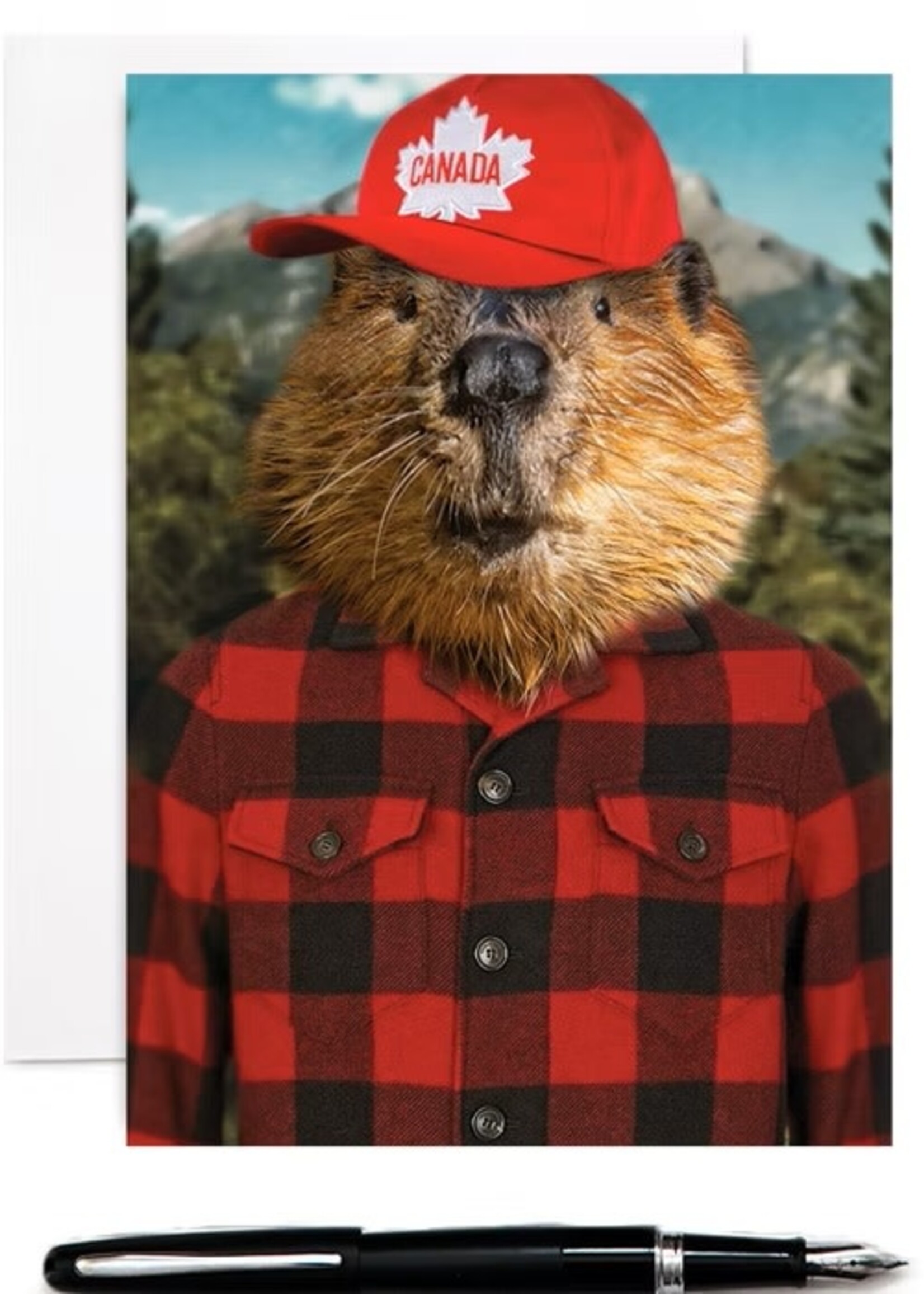 The Lonely Pixel Beaver Canuck