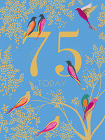 Incognito 75 today