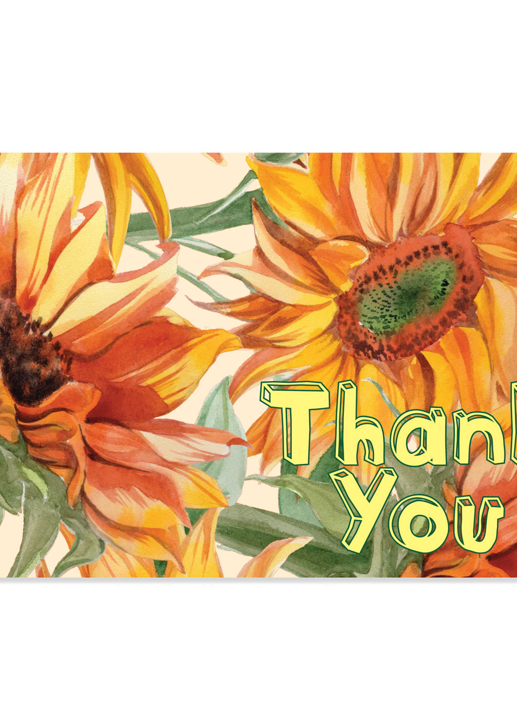16 Boxed Thank You Cards - Sunflowers