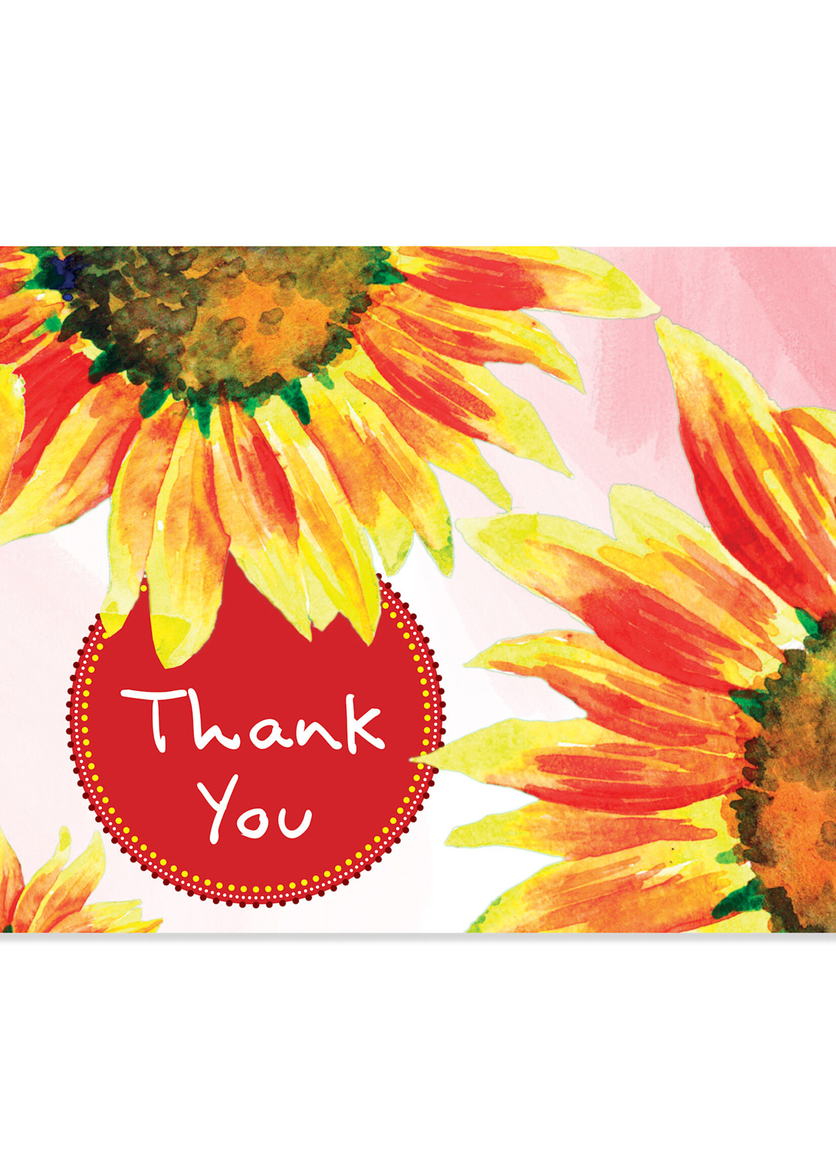 16 Boxed Thank You Cards - Sunflowers