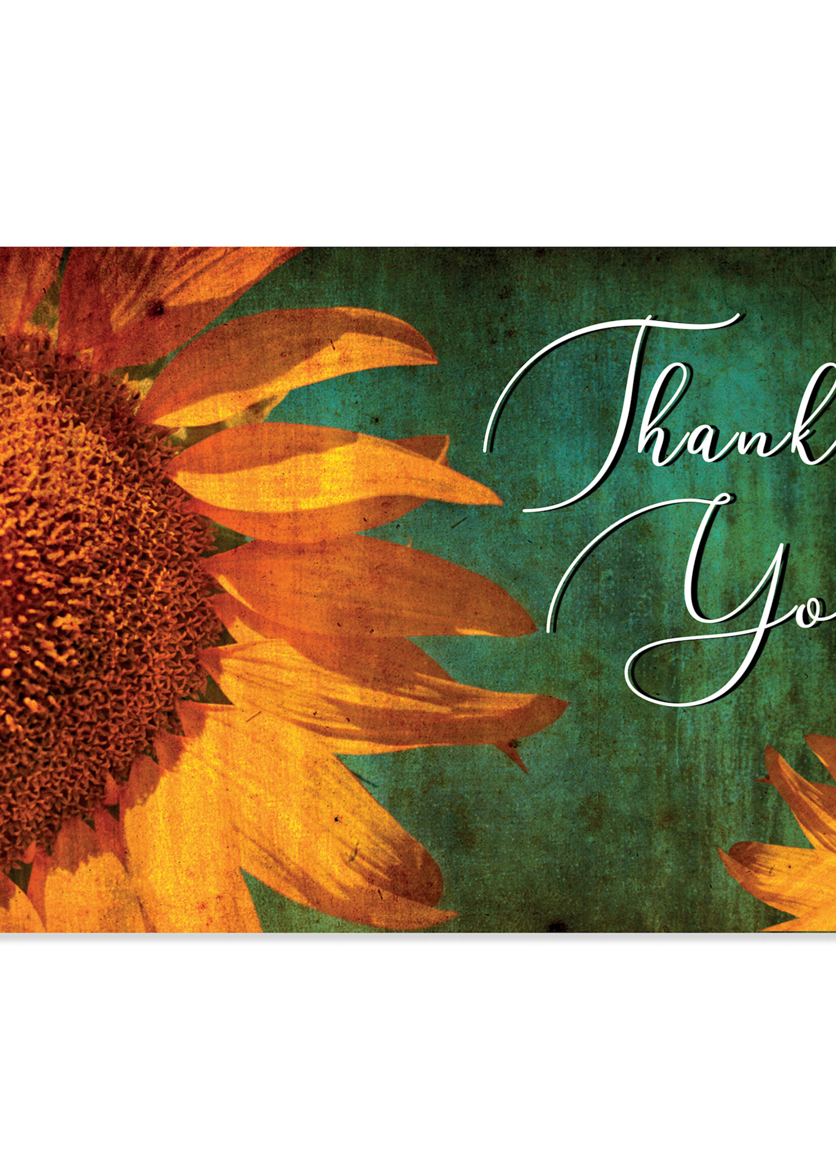 16 Boxed Thank You Cards - Sunflowers