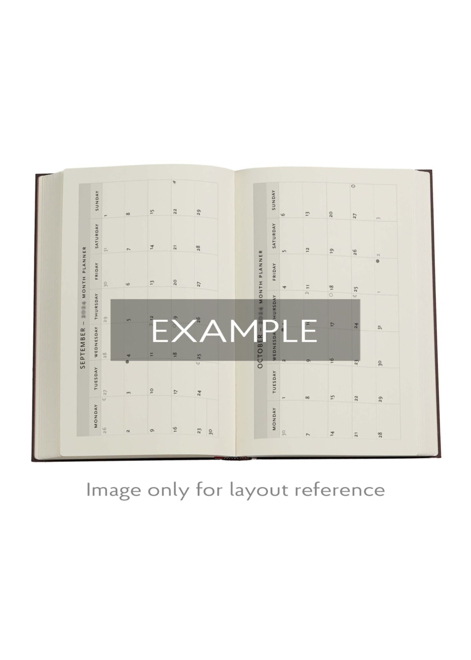 Paperblanks Paperblanks | 2026 First Folio | Shakespeare's Library | 12-Month Planner | Mini | Horizontal