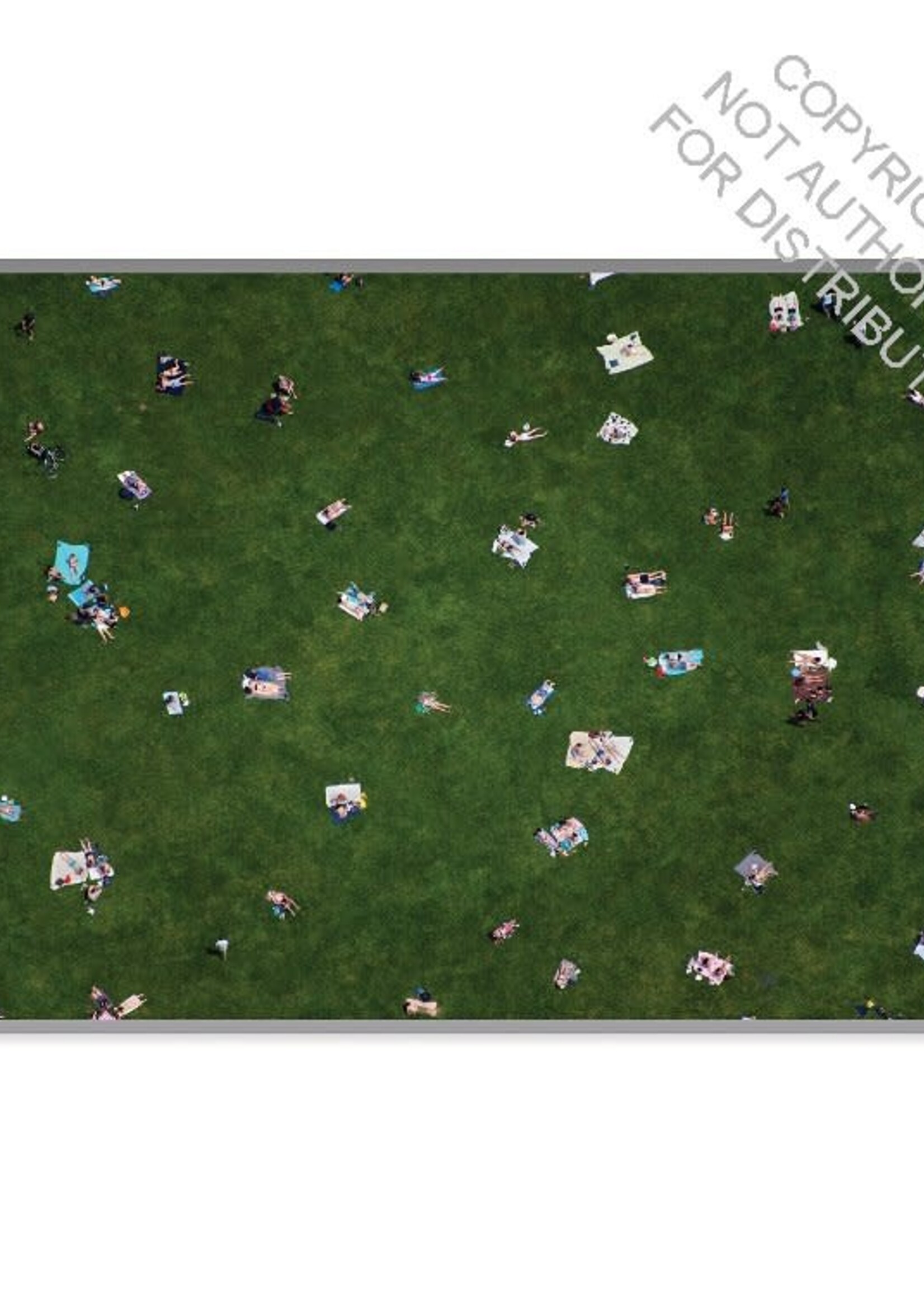Gray Malin Notecard Set
