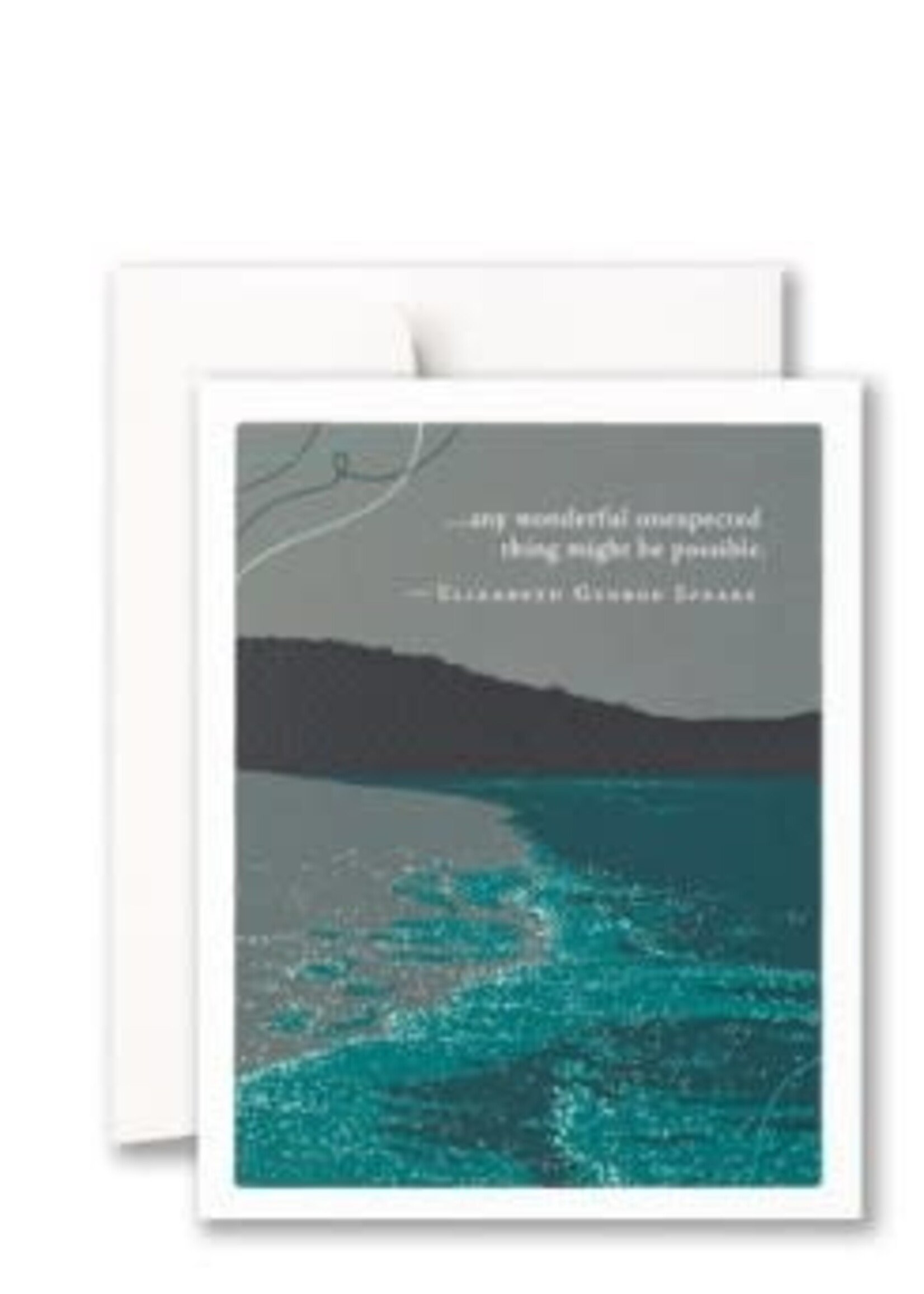 Any Wonderful Unexpected Thing