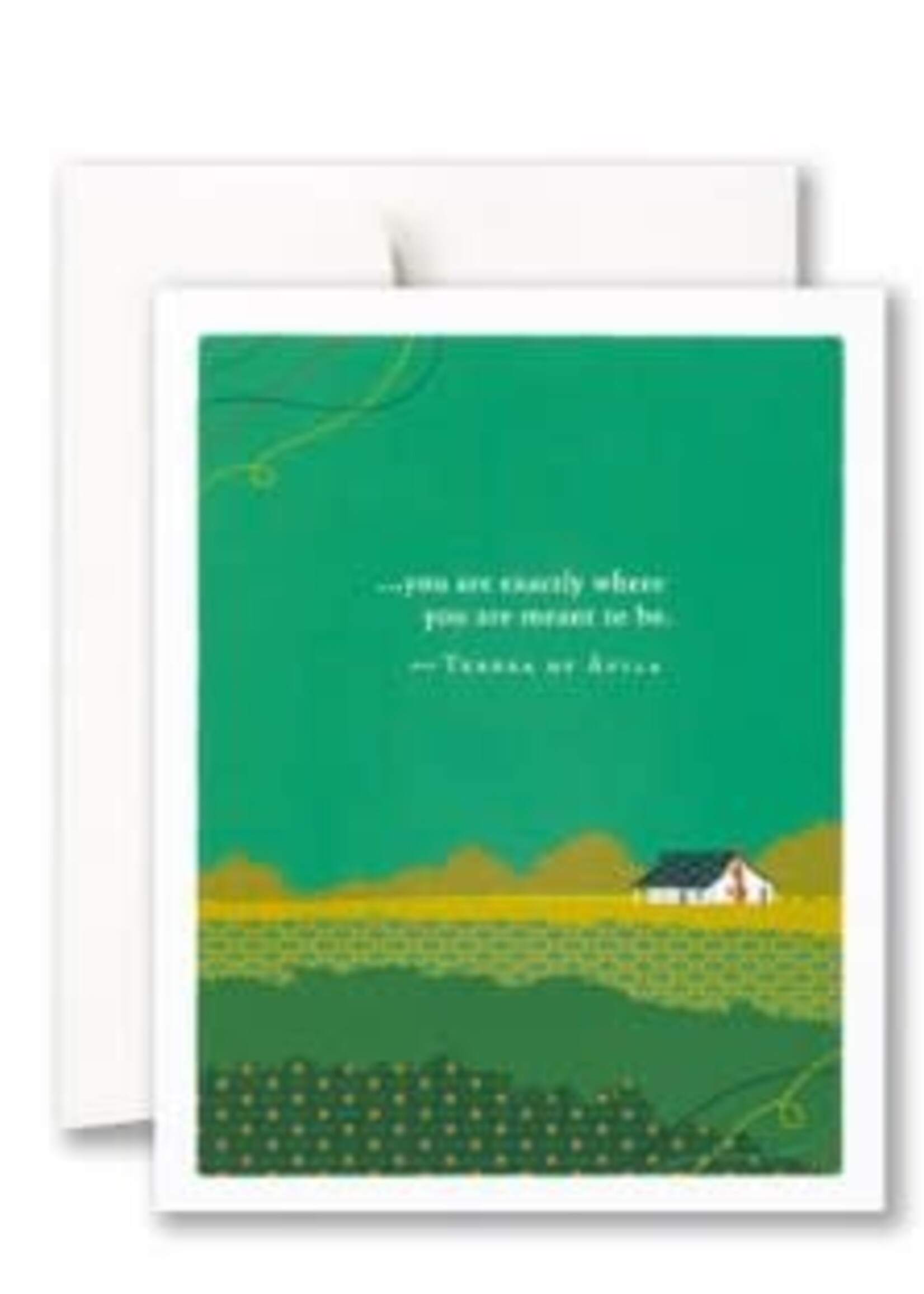 Compendium You Are Exactly Where You Are Meant To Be