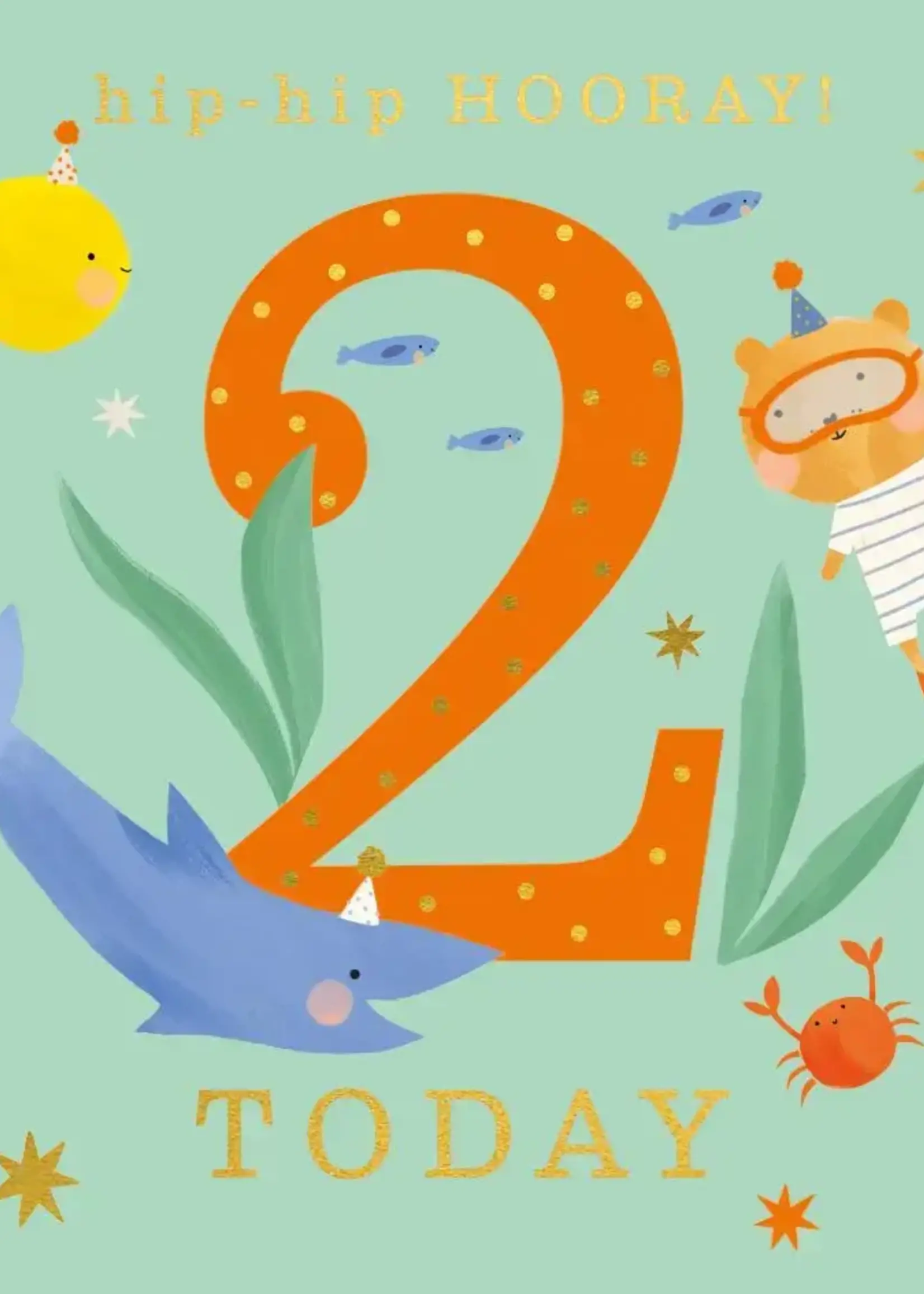 Hip-hip Hooray 2 Today