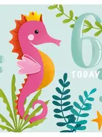 6 Today Seahorse