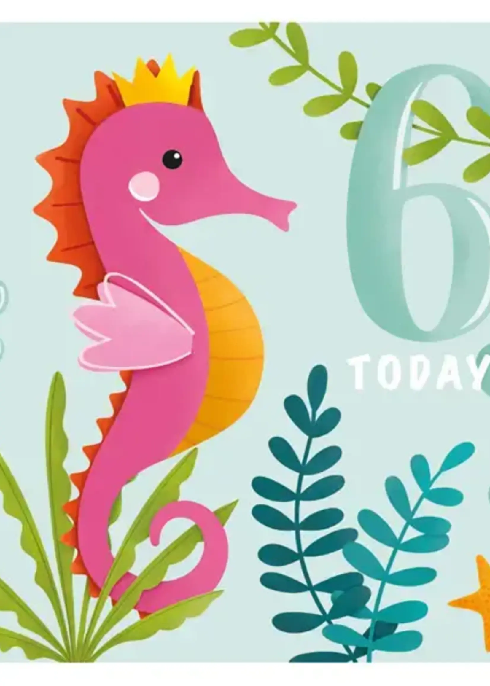 6 Today Seahorse