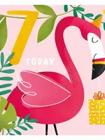 the art file 7 Today Flamingo