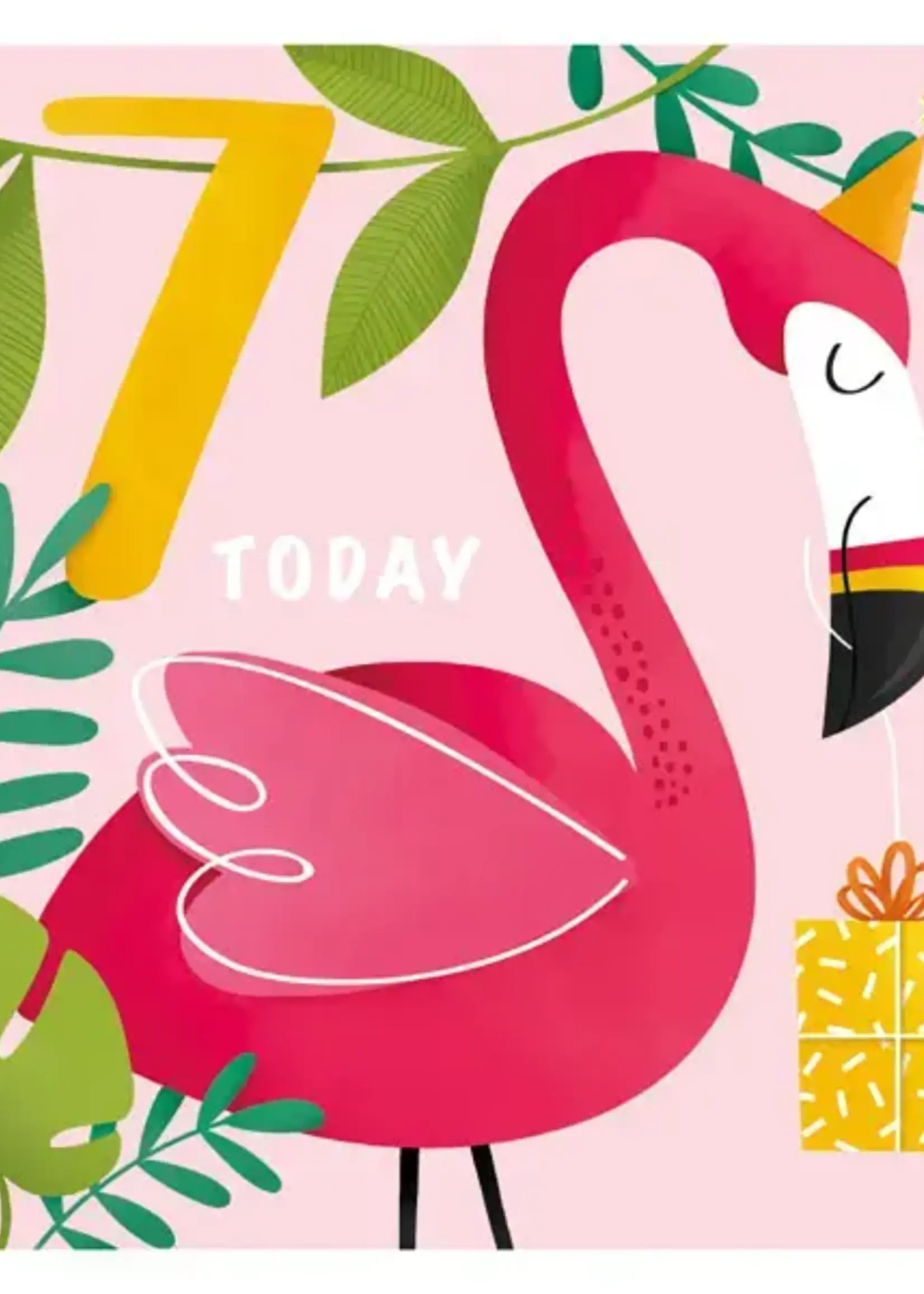the art file 7 Today Flamingo