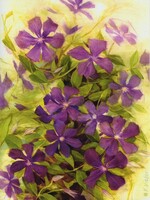 Pretty Purple Clematis