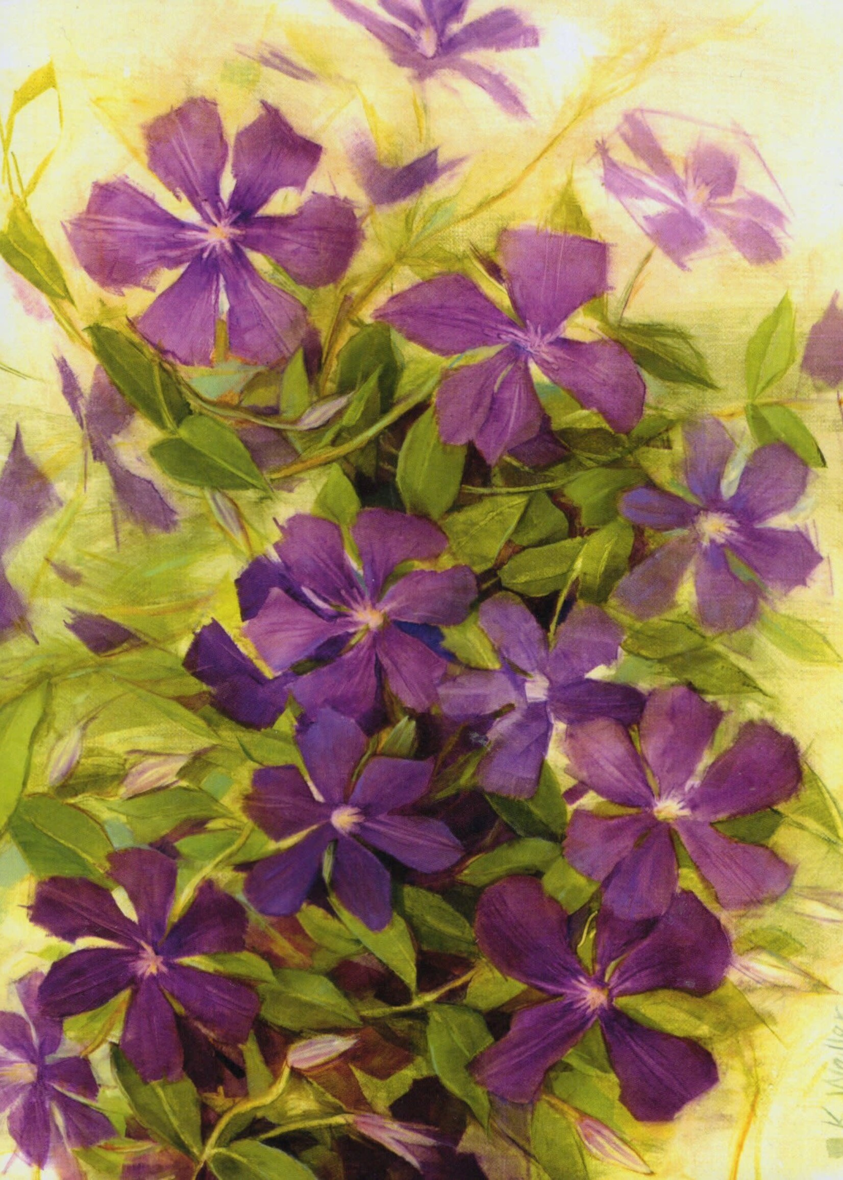 Kerri Weller Pretty Purple Clematis