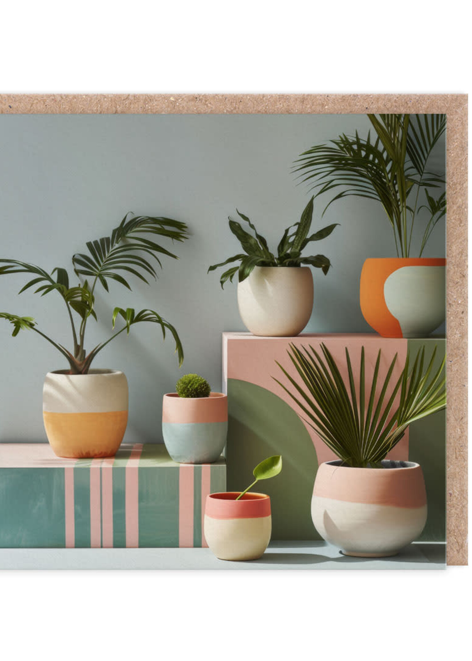 Oh Deer Plant Collection
