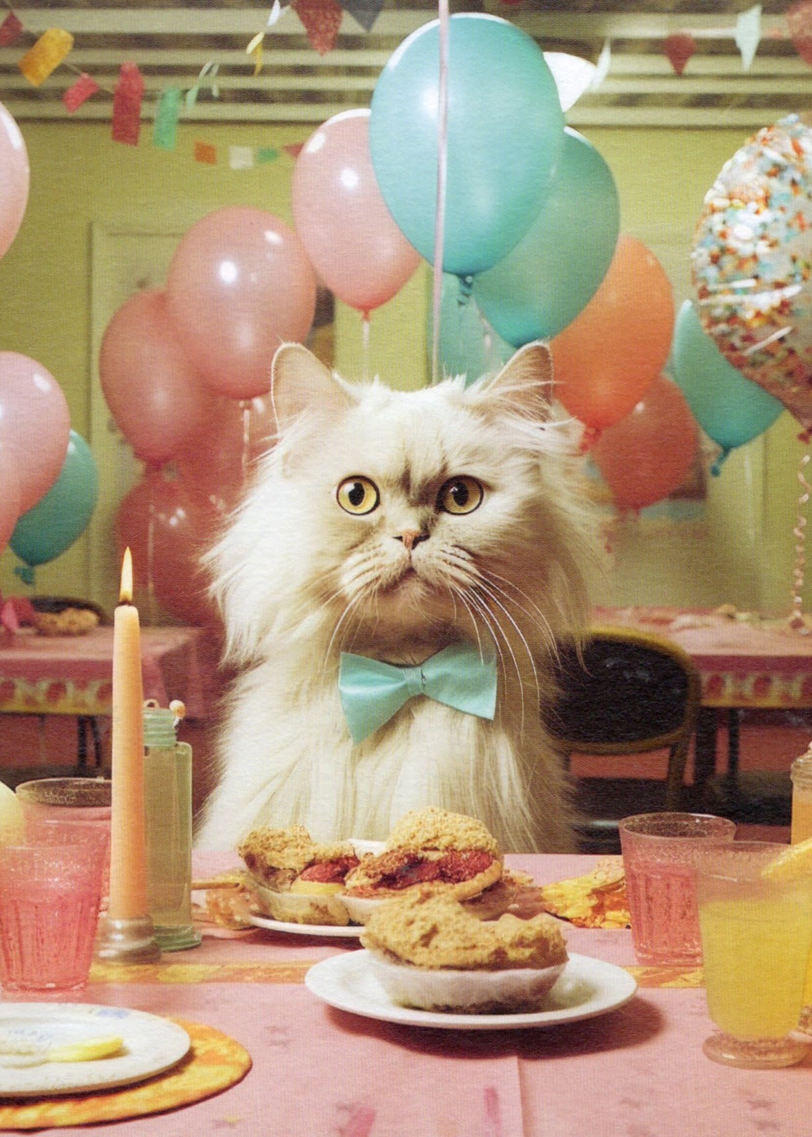 Ohh Deer Birthday Cat