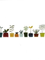 Little Plants