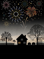 Bug Art Fireworks Over House