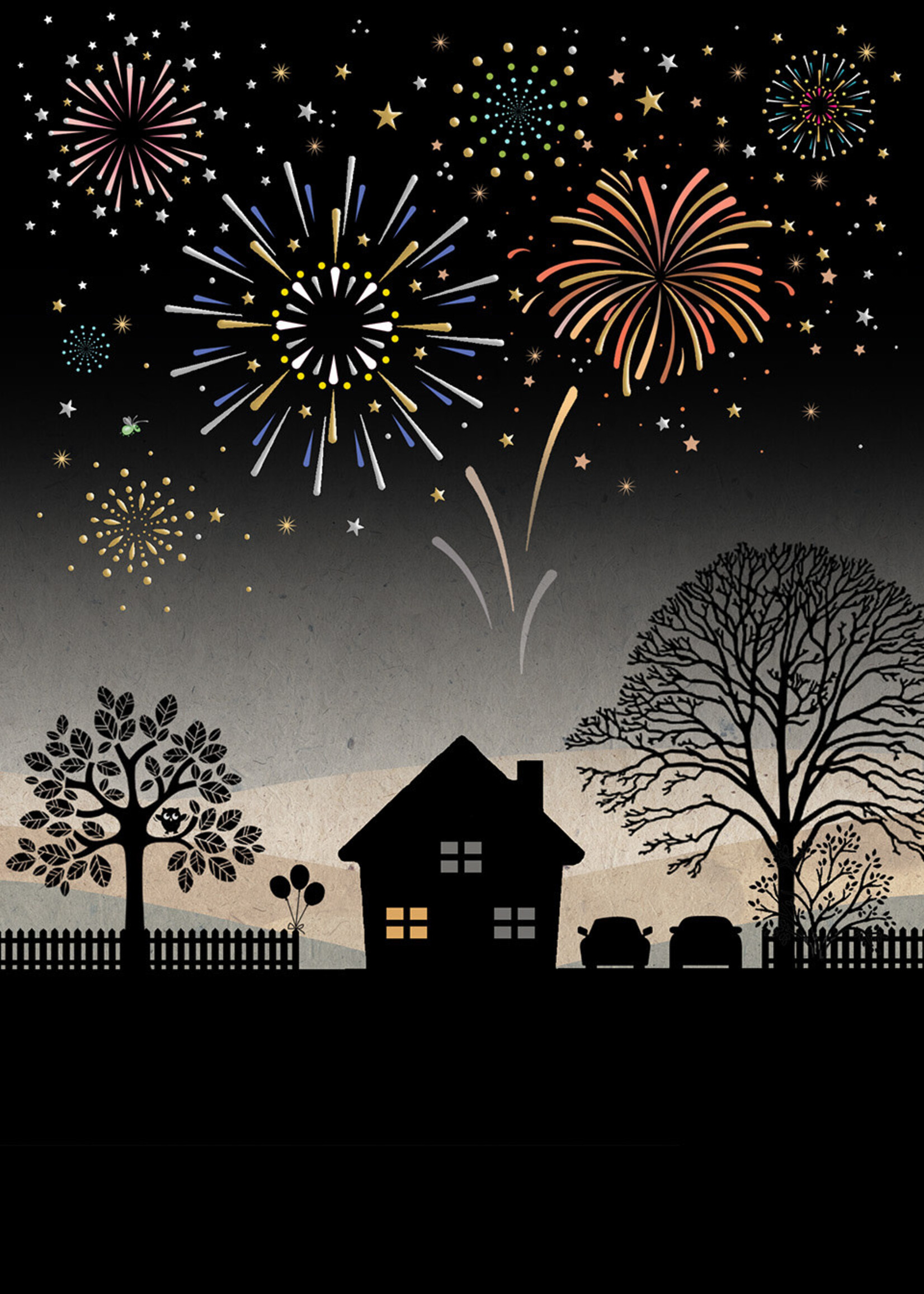 Bug Art Fireworks Over House