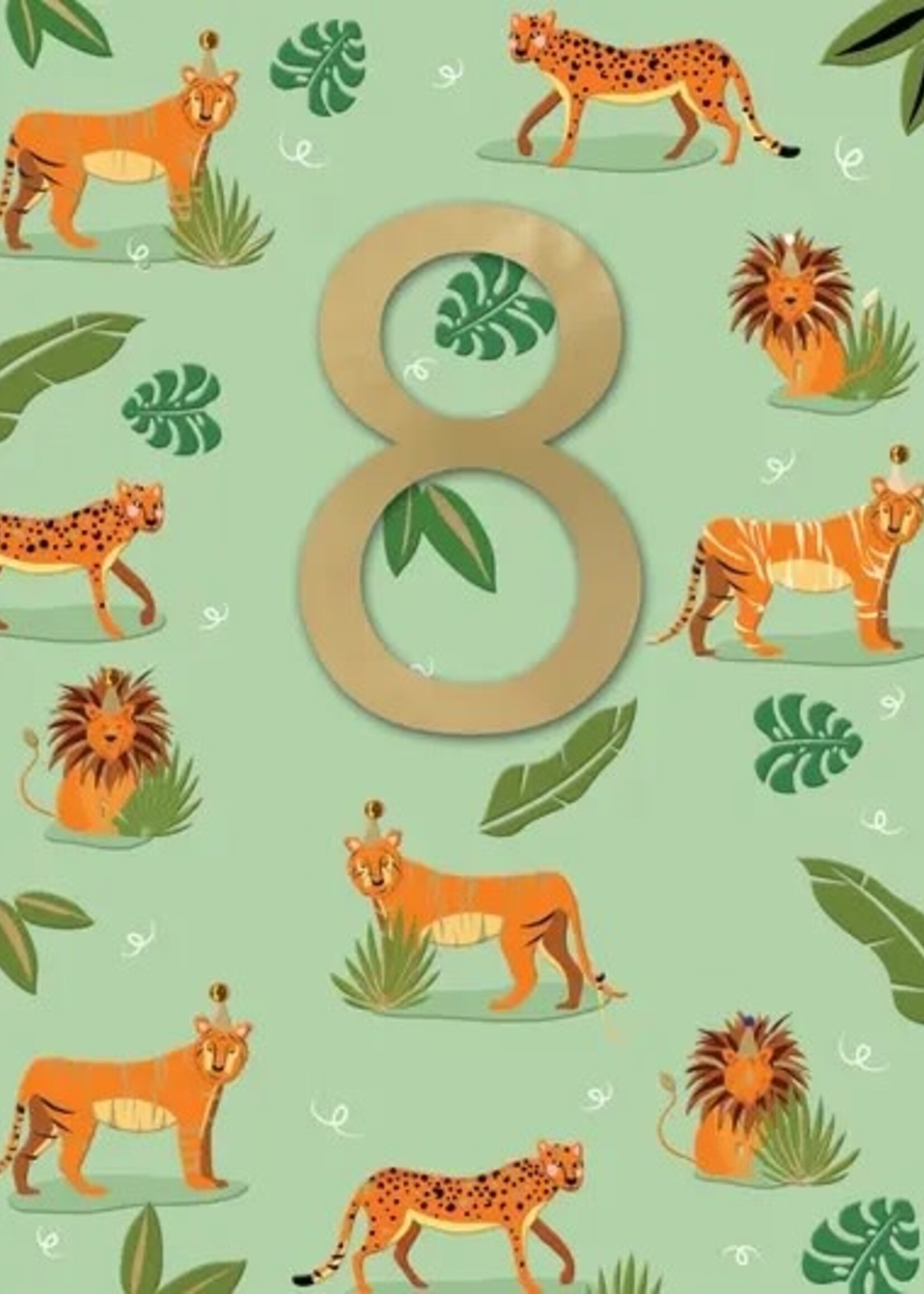 8 - Animals (big cats)