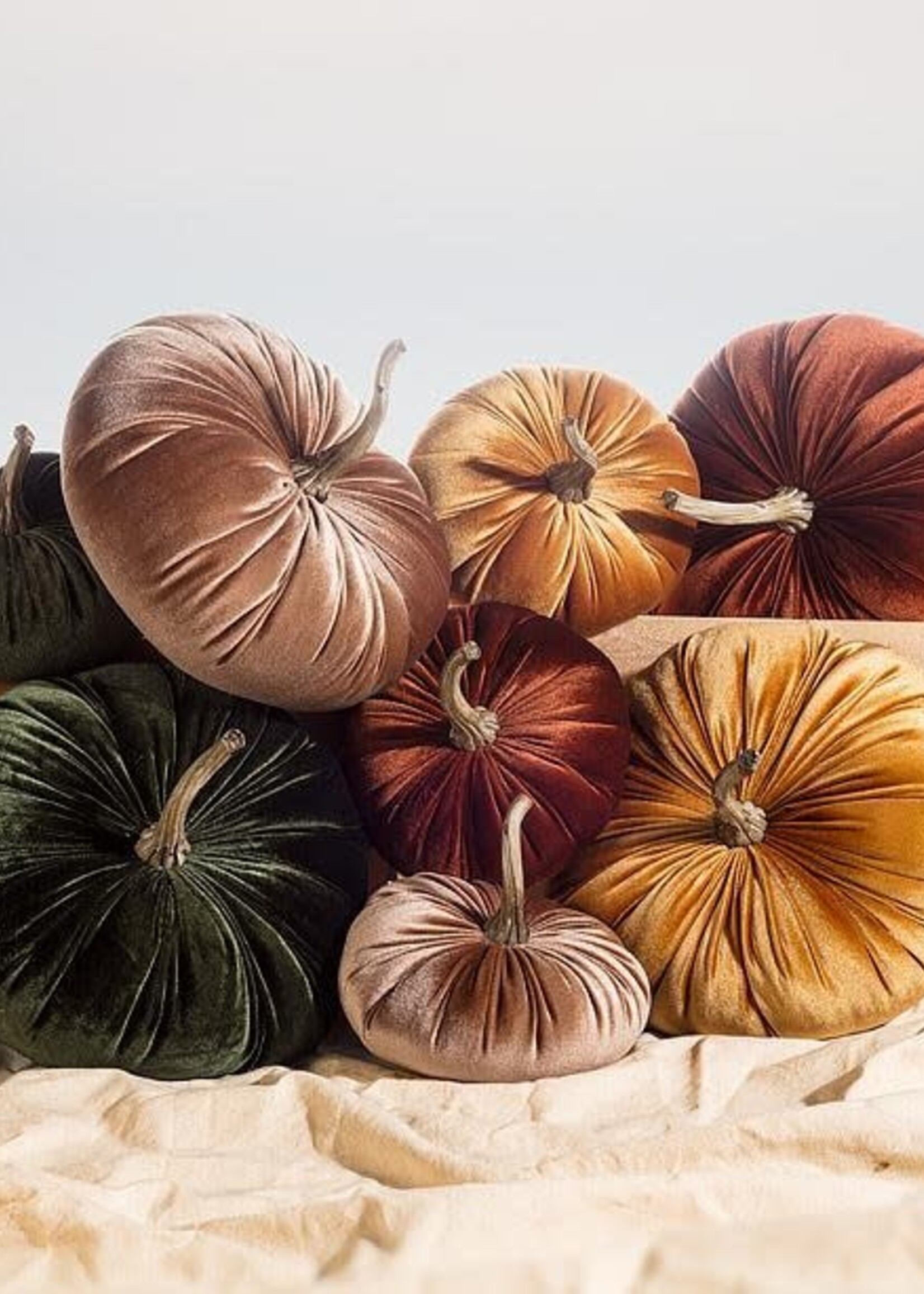 abbott Large Velvet Pumpkin - various colours