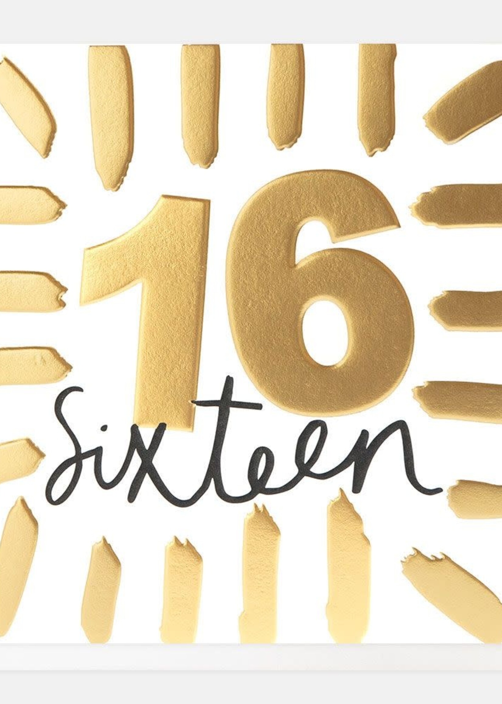 Caroline Gardner 16 Sixteen