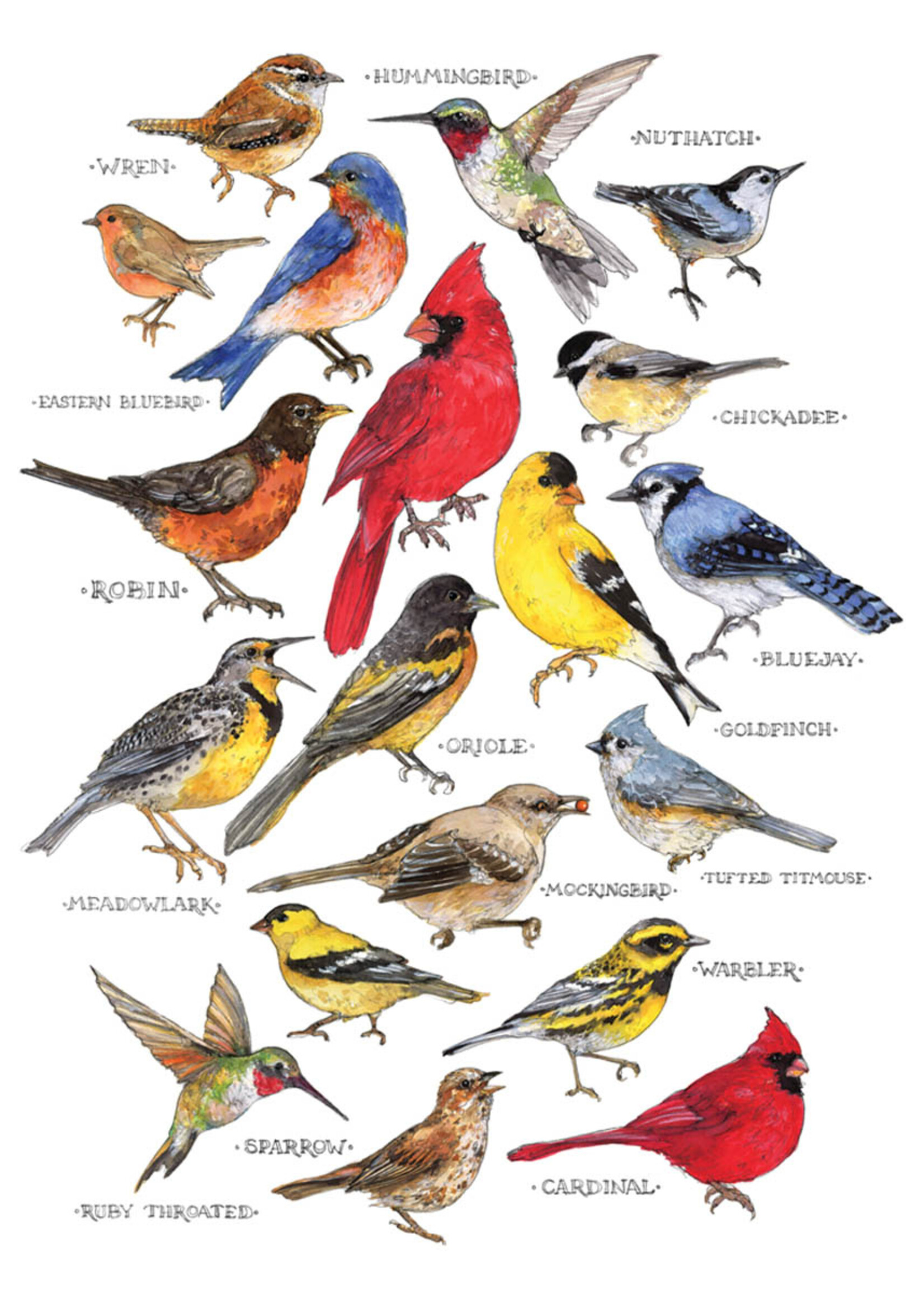 Allport Songbirds