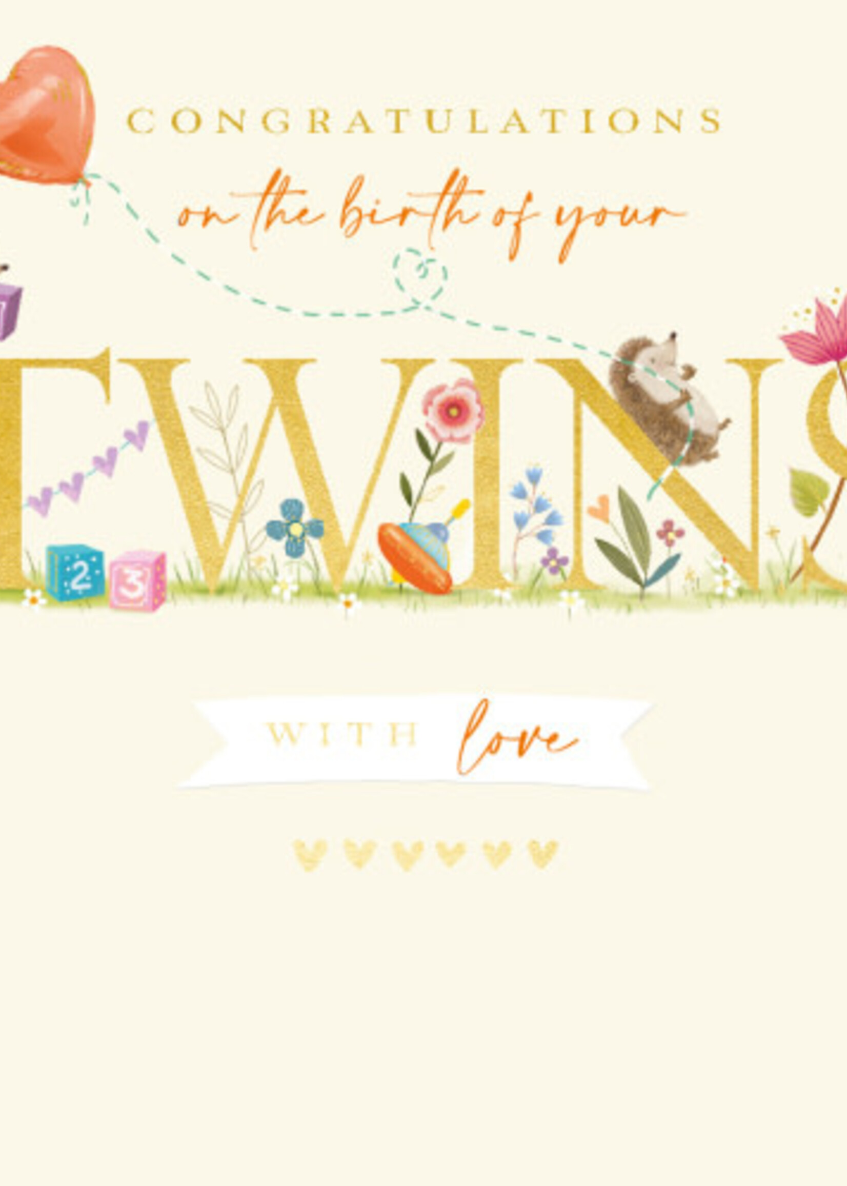 Congratulations on the birth of your twins