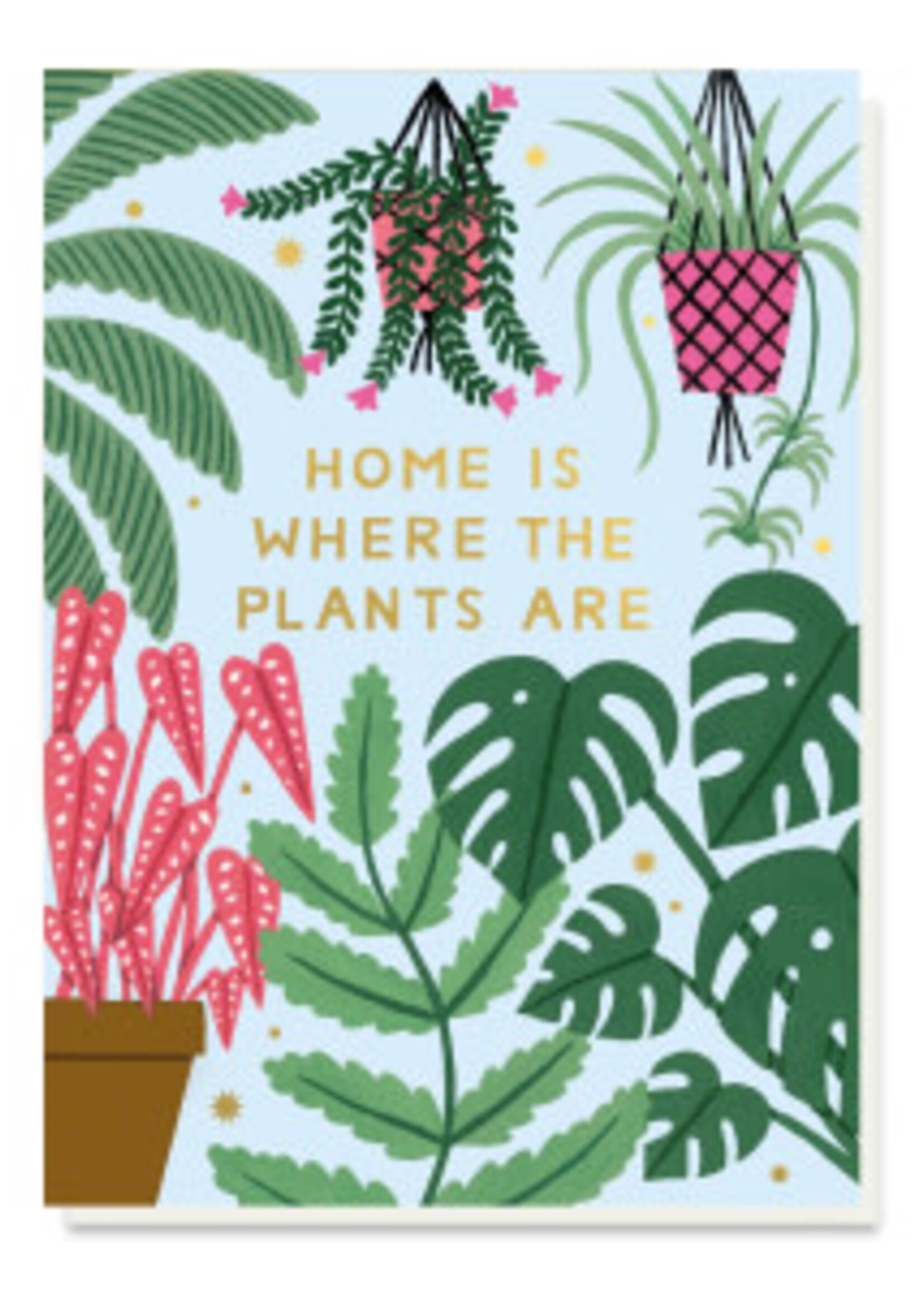 Home Is Where The Plants Are