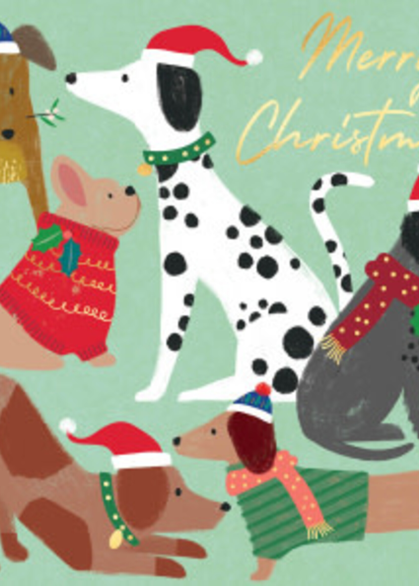 Merry Christmas Dogs