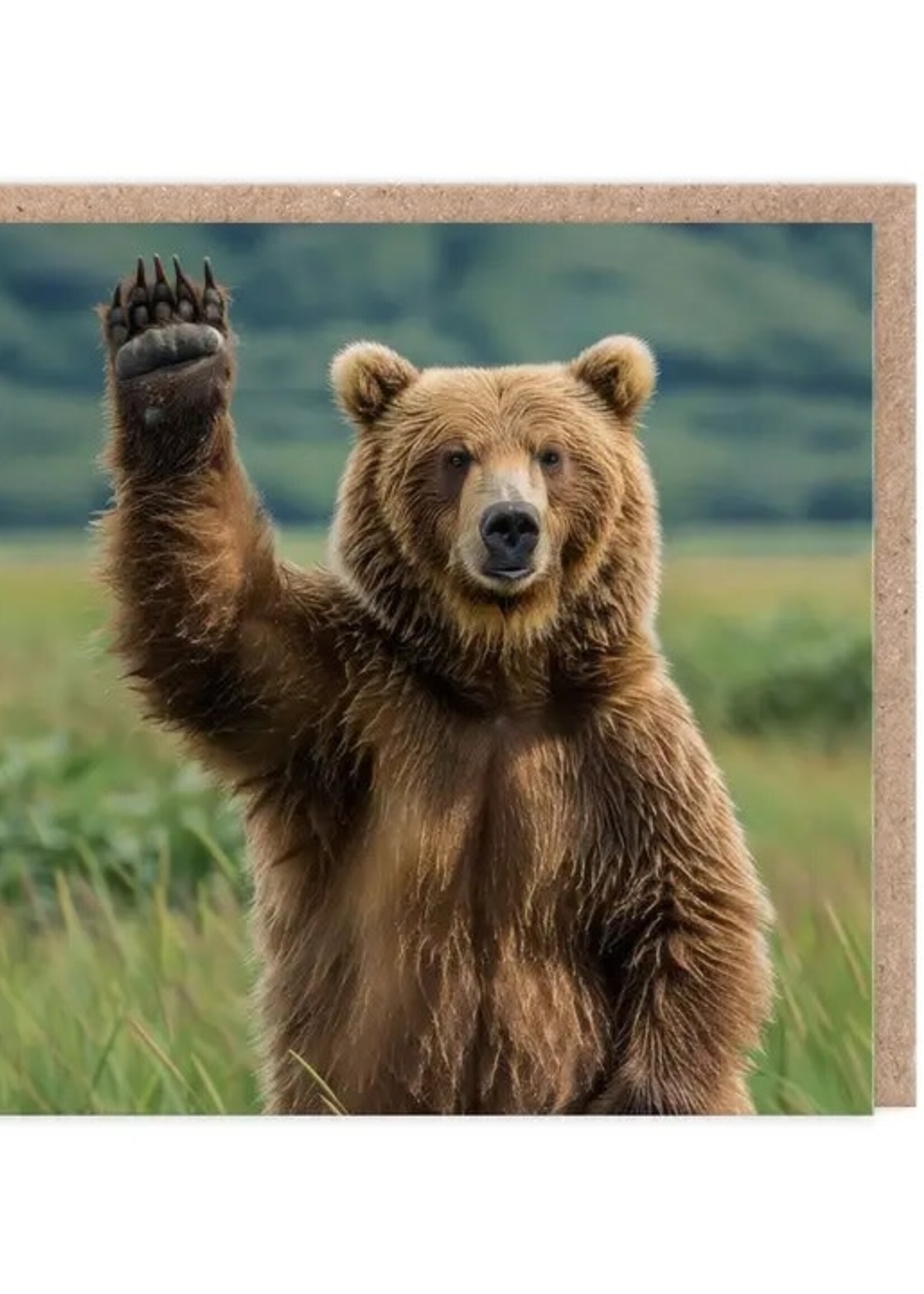Ohh Deer Waving Bear