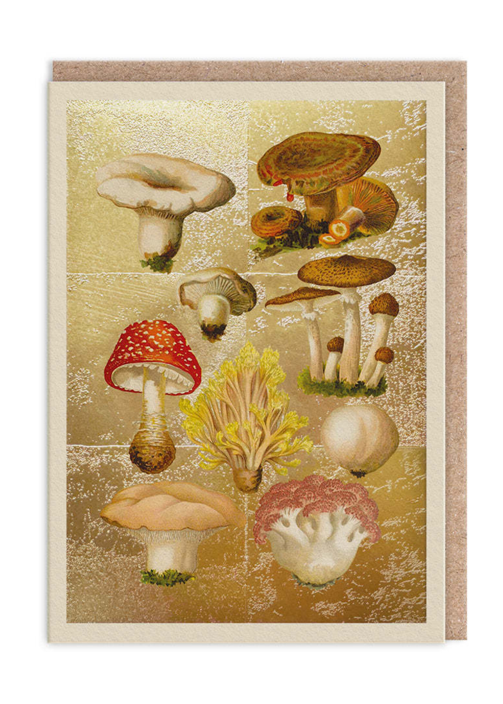 Oh Deer Funghi Collection