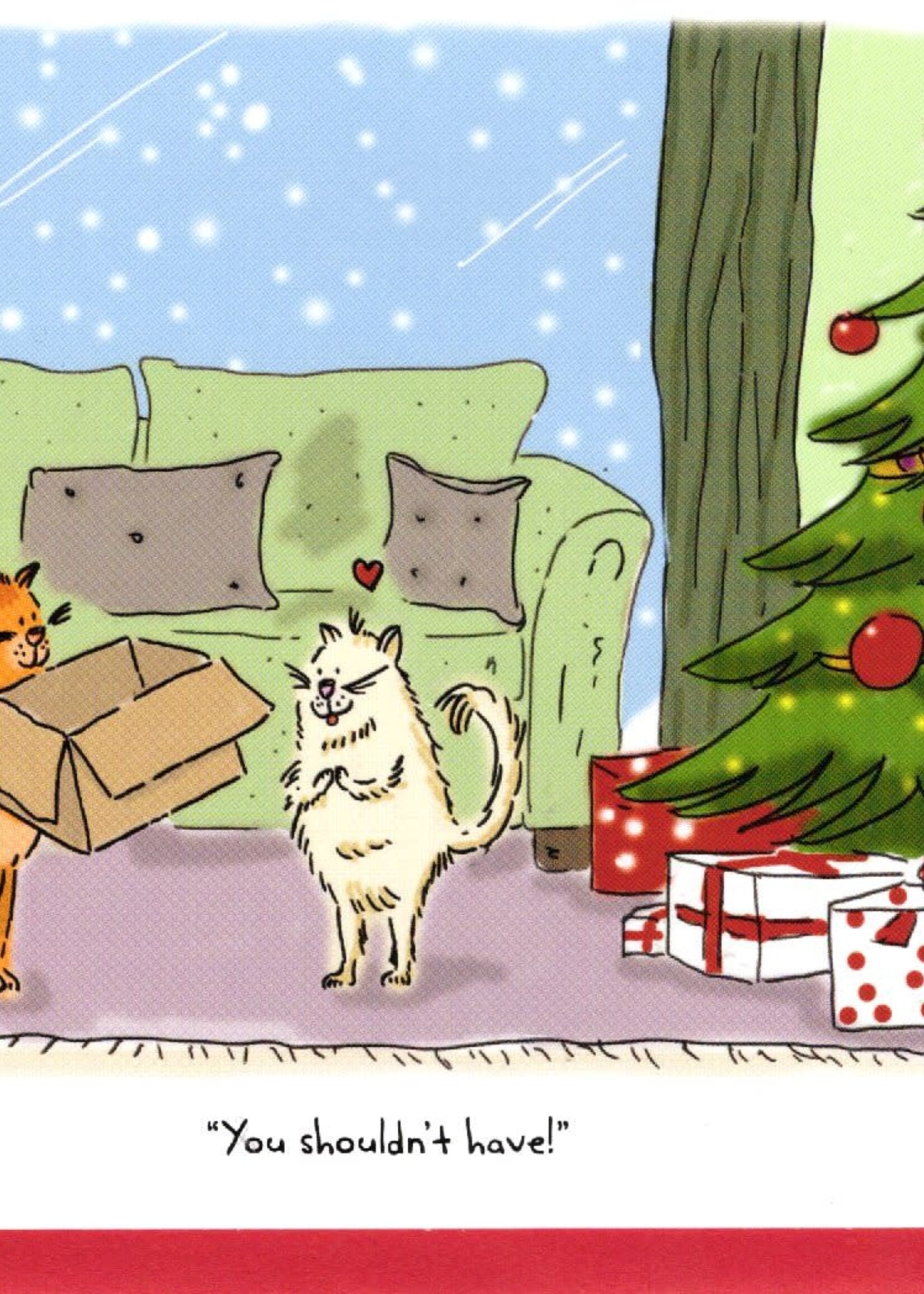 Nelson Line You shouldn't have