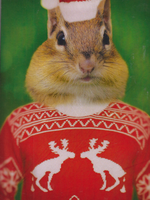 The Lonely Pixel Cheeky's Christmas Sweater