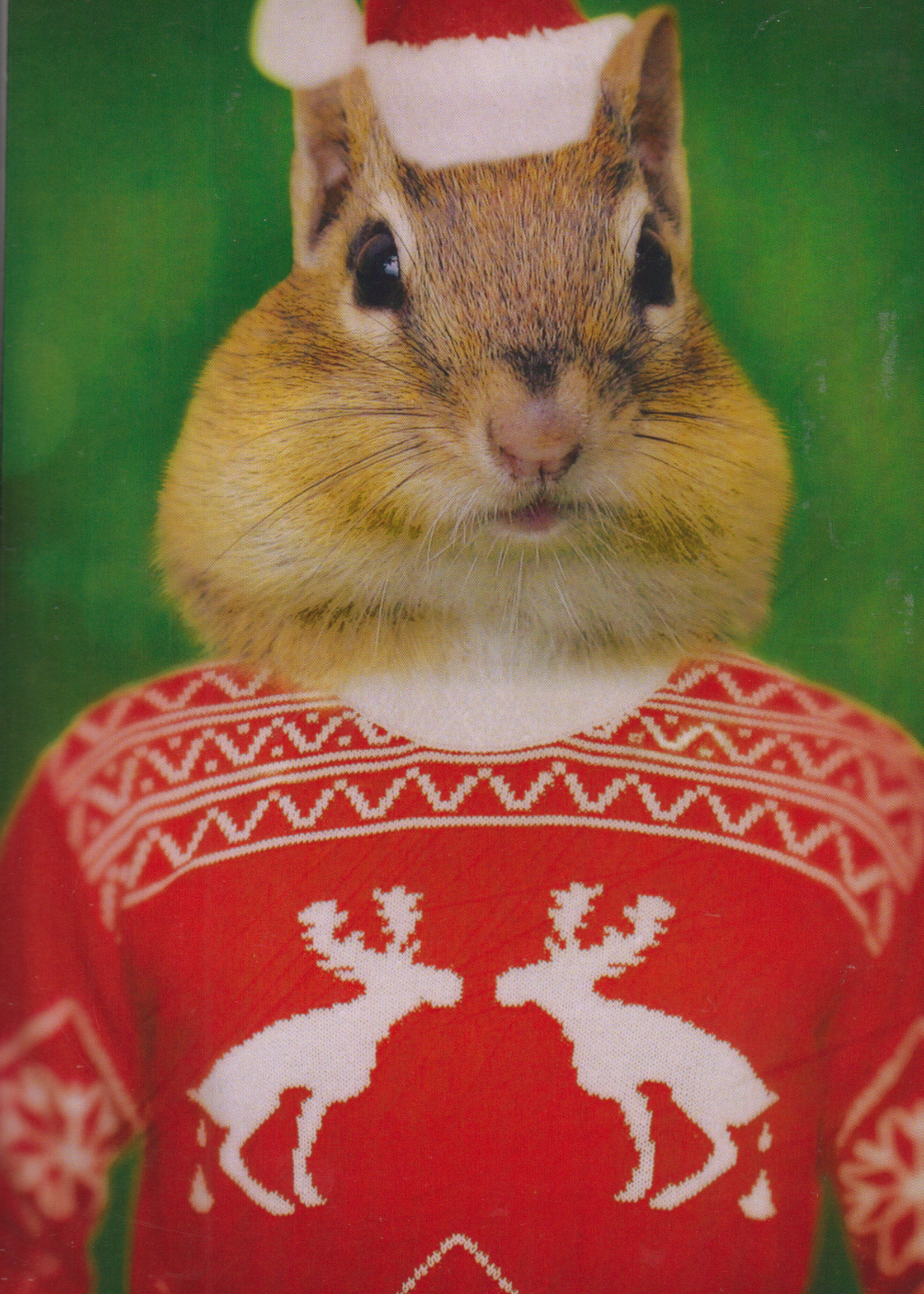 The Lonely Pixel Cheeky's Christmas Sweater