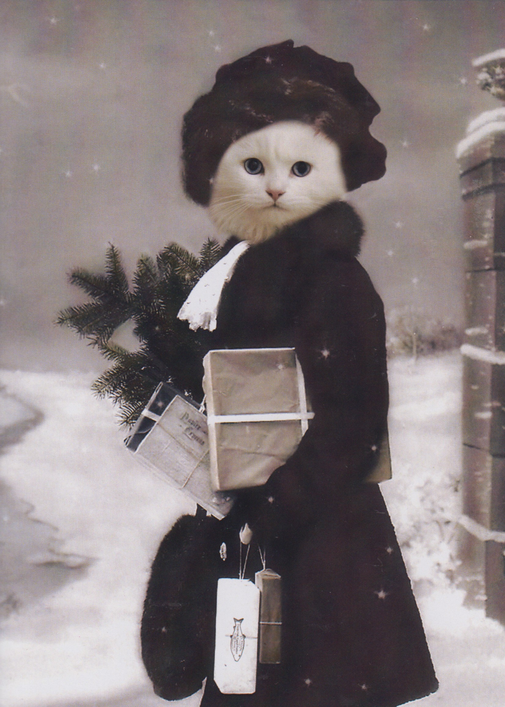 The Lonely Pixel Lady May