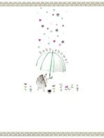 Baby Shower ~ Hedgehog