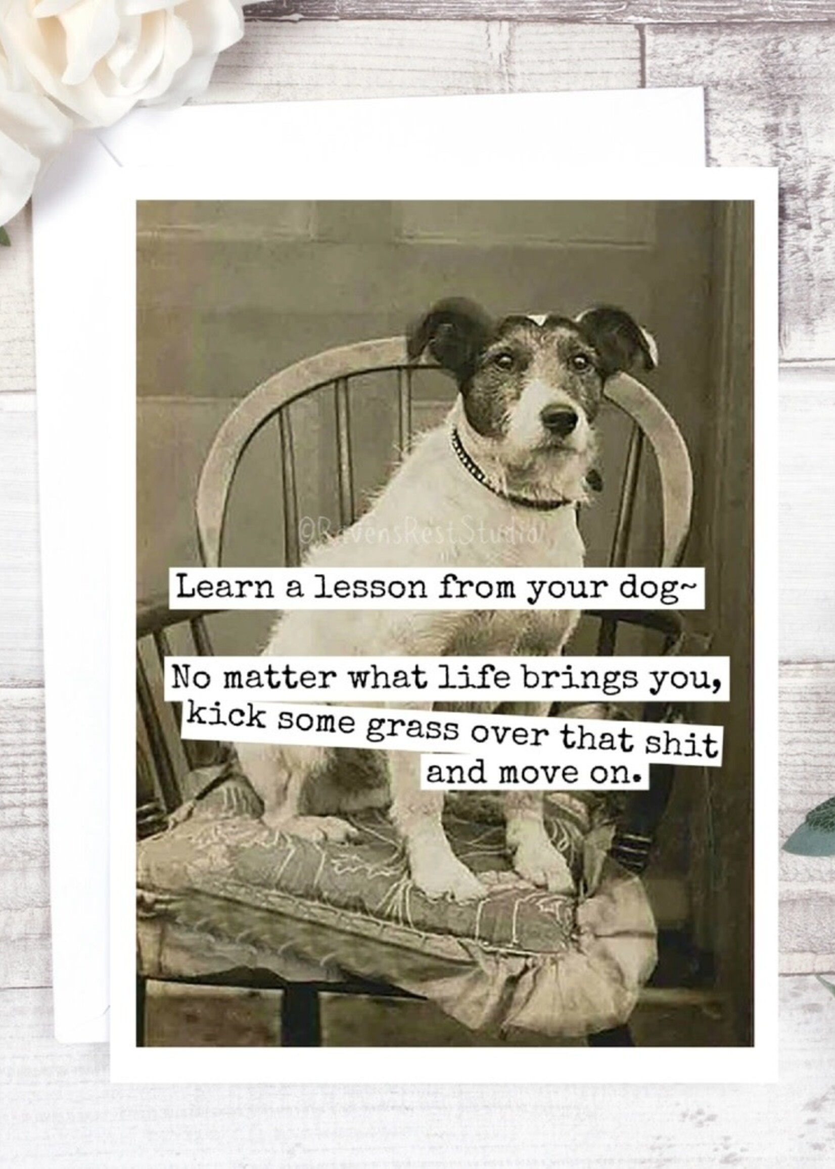 Raven's Rest Learn a lesson from your dog