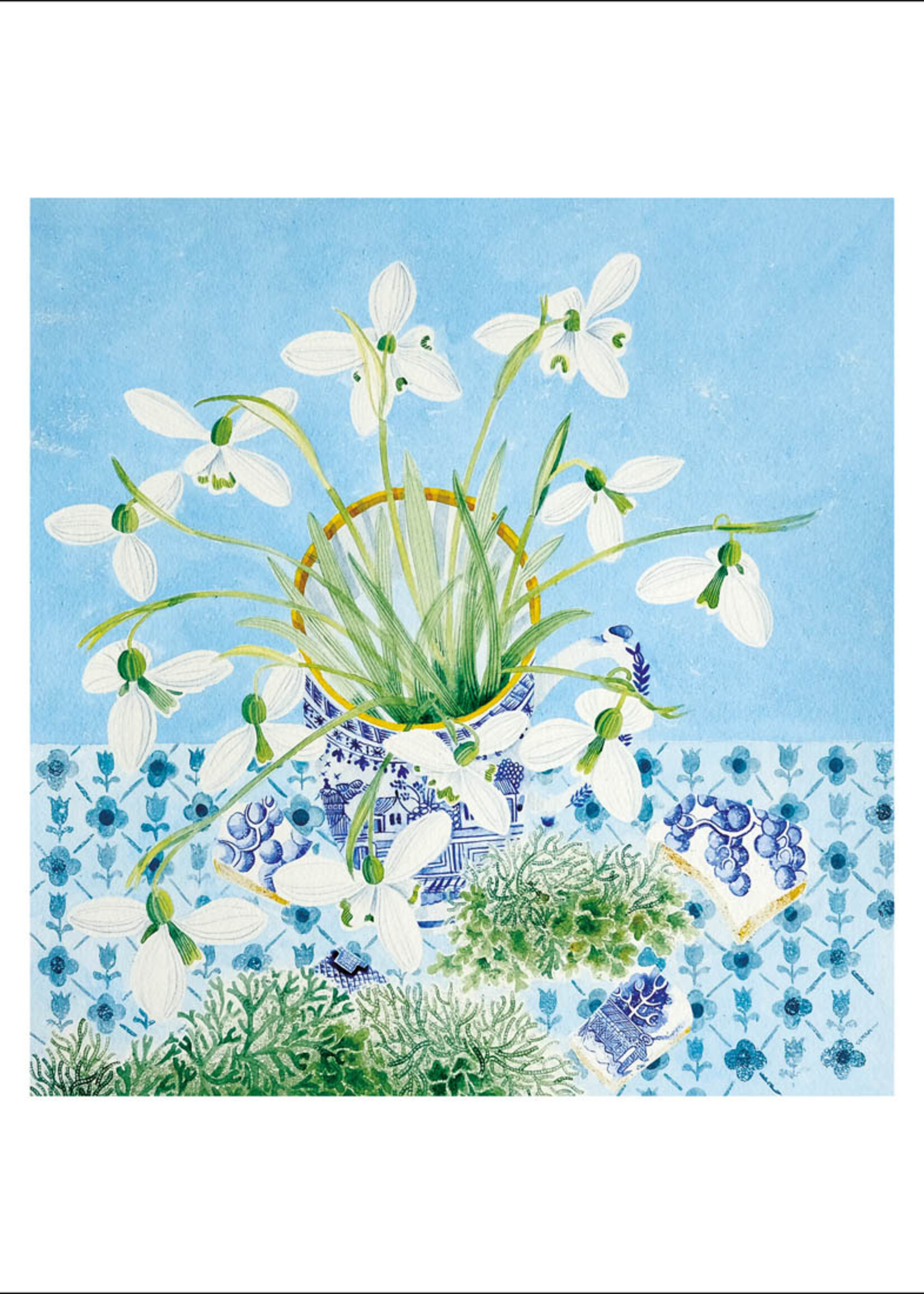 Snowdrops and Lichen