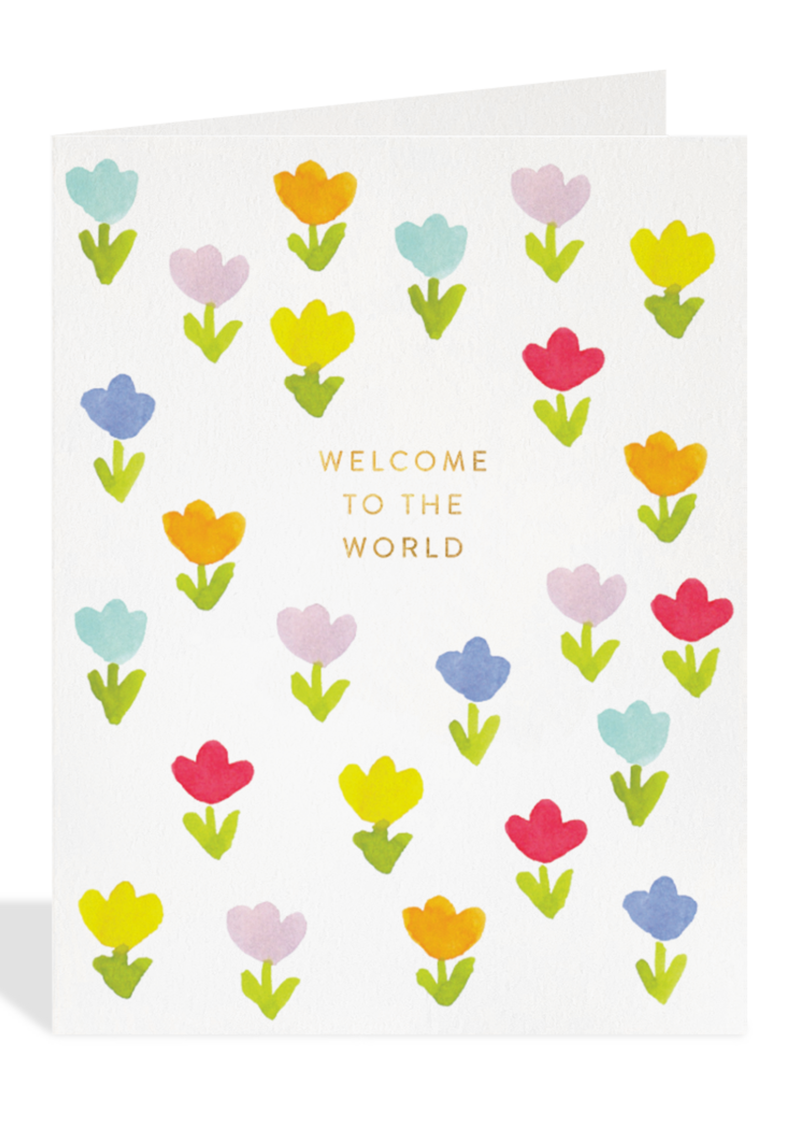 Welcome to the world